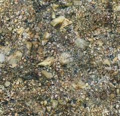 Ковролин Flotex Vision Image 000368 Riverbed фото 1 | FLOORDEALER
